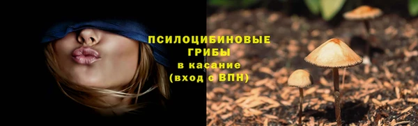 дмт Баксан
